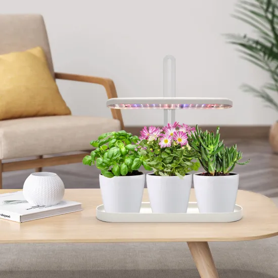 Self Watering Flower Pot Kit with LED Grow Light and Timer