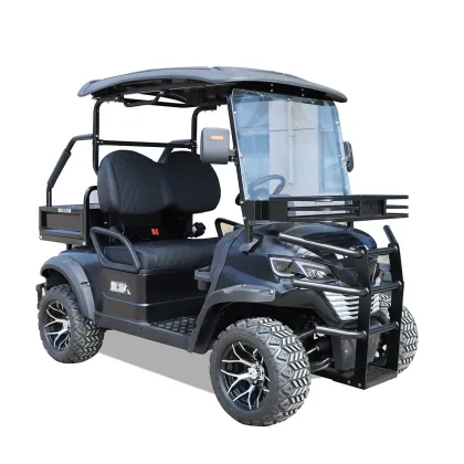 Electric Differential for Golf Cars