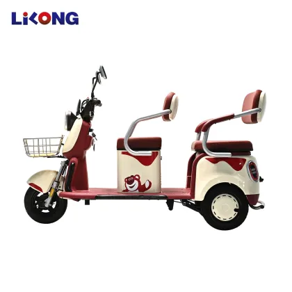 Family Leisure Electric Tricycle