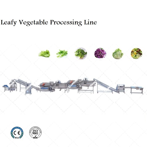 Línea de procesamiento de vegetales de hojas industriales