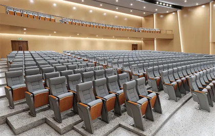 Auditorium Seating and Public Assembly Chairs with Desks