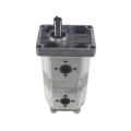 CBN Aluminum alloy hydraulic Two-way double gear pump