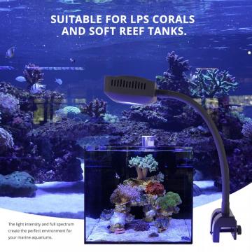 Iluminação de aquário de água salgada LED de aquário