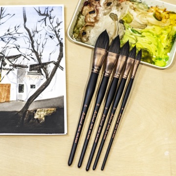 Professional Watercolor Painting Brush