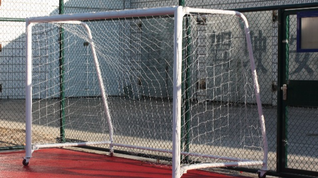 Portable Soccer Goal with Net