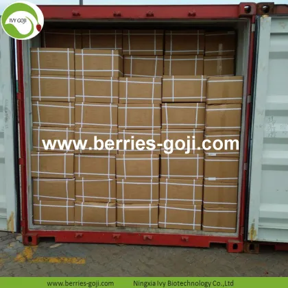 Factory Supply Dried Ningxia Goji