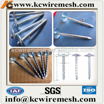 KANGCHEN Ethiopian roofing nails from China.
