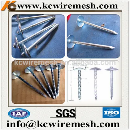 KANGCHEN brand roofing nails