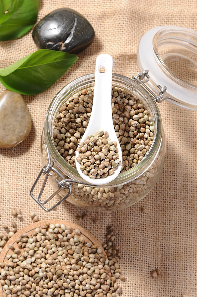 Hemp Seeds Recipes