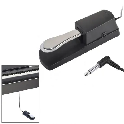 Professional M-Audio SP-2 Sustain Pedal for Enhanced Piano Playing Experience