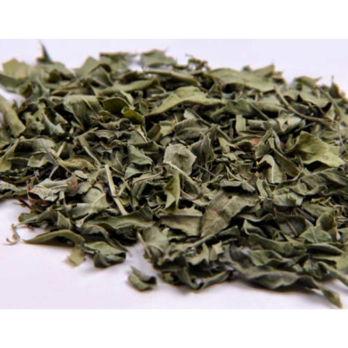 100% Natural Dogbane Leaf Extract Apocynum Venetum L.