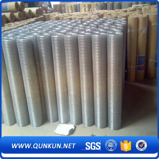 best selling electro galvanized welded wire mesh