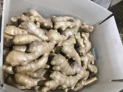 Selected Fresh Air Dry Ginger
