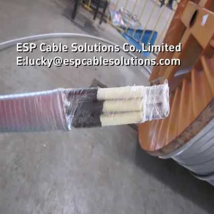 ESP Cable