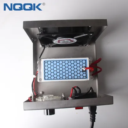 10g 220VAC Timers Stainless Steel Ozone Generator Air Disinfection Machine