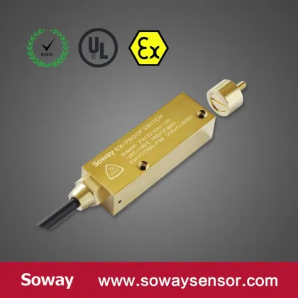 Electric door/window switches