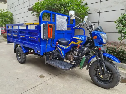 Sturdy Three Wheel Transport for Daily Needs
