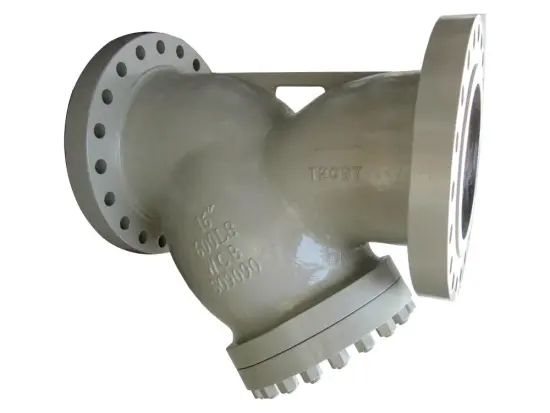 WCB Y Type Strainer
