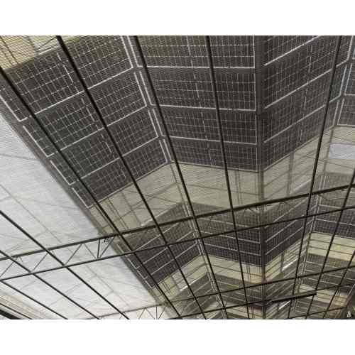 Photovoltaic Glass Power Generating Greenhouse