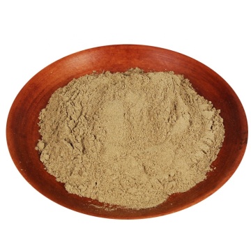 Corydalis Turtschaninovii Tetrahydropalmatine Raw Powder