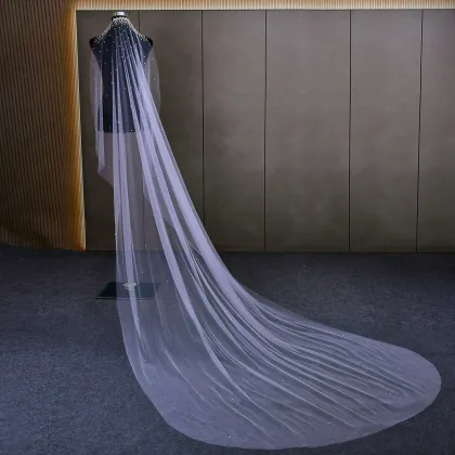 Bride Main Wedding Veil Super Fairy Korean Style Long Tail Embroidery Bridal Veil