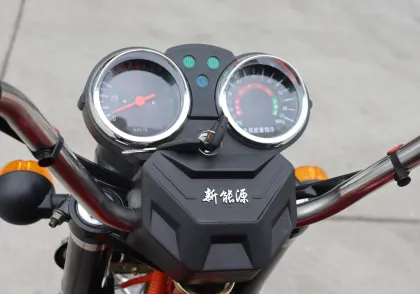 Powerful 1000w Electric Motorcycle