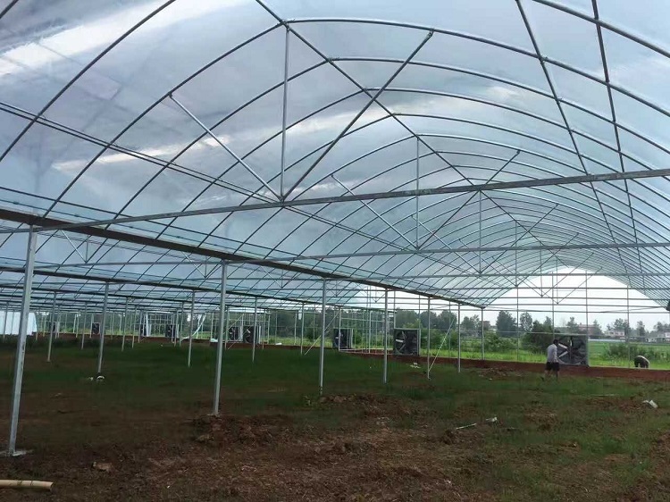 Sk Multi Span Film Greenhouse Frame