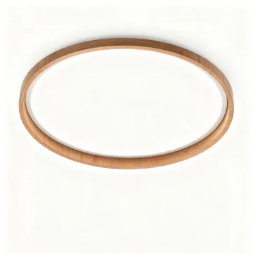 LED Ceiling Light with Smooth Brightness Control