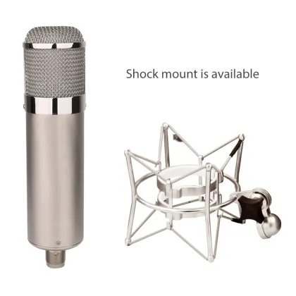 Professional Studio Condenser Tube Microphone - Large 34mm Diaphragm for Metal Recording