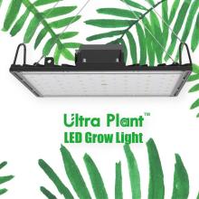 365nm LED Grow Light Vertical Farming Equipment