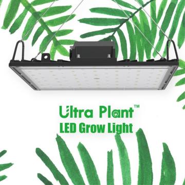 365nm Full Spectrum Plant Grow Light