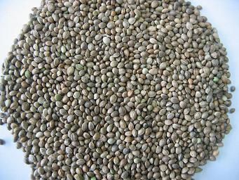 Hempseeds