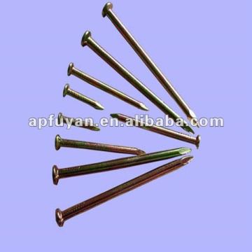 Galvanized Concrete nail / 2 inch * 11BWG