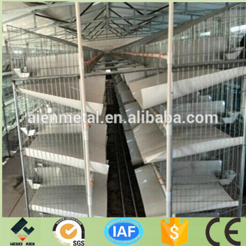 Automatic and low price rabbit cages for sale