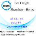 Shenzhenhaven Zeevracht Verzending naar Belize