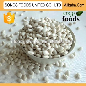 Chinese medium white kidney beans