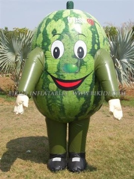 Inflatable Costumes, Advertising Costume (K6011)