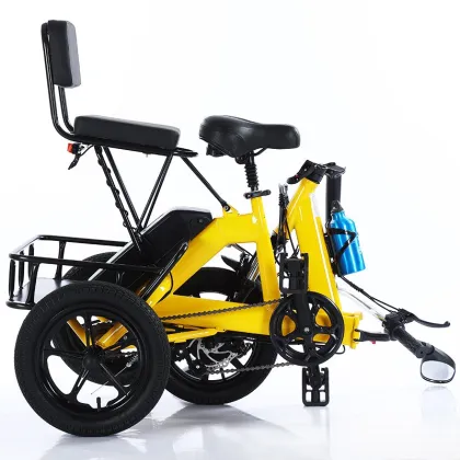 2025 New 14-inch Folding Electric Power Tricycle 48V Lithium Manned Electric Tricycle