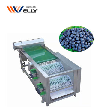 Automatische bosbessengrootte Sorter en gradermachine met dempingmateriaal