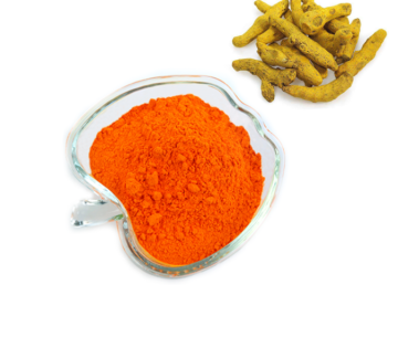 curcumin root extract 5% 10% curcumin extract