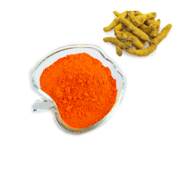 curcumin root extract 5% 10% curcumin extract