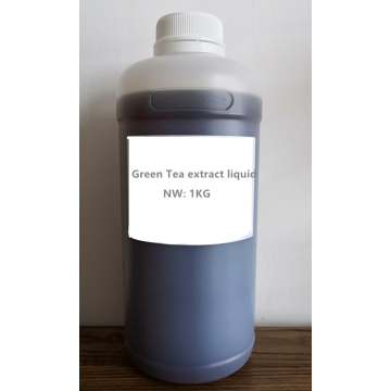 Concentrado líquido de extracto líquido de té verde de alta calidad