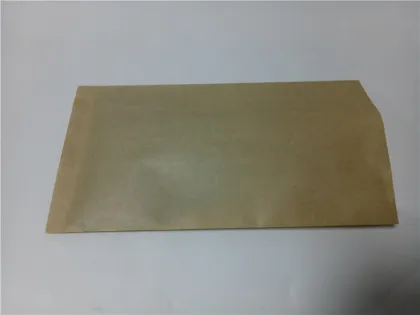 Biobag Compostable Nyc Biodegradable Paper Bag