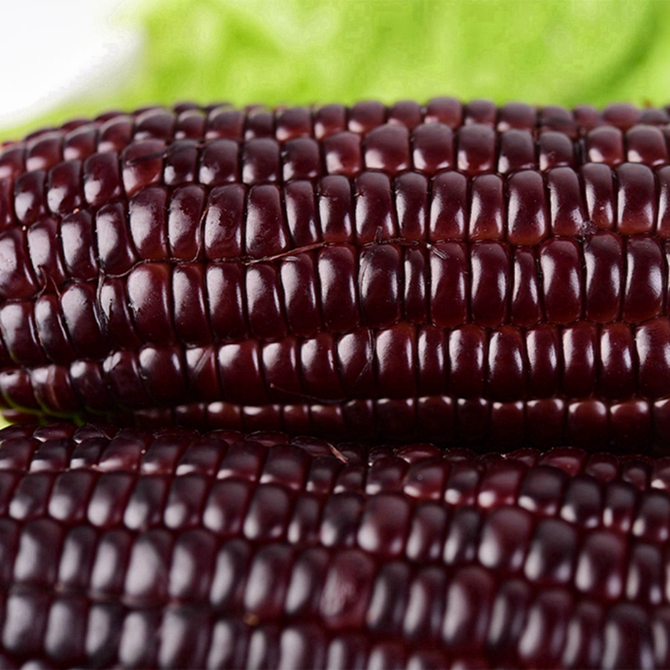 Microwave Corn On The Cob Shucked