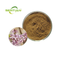 Natural Bulk Clove Extract