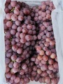 2019 ano nova colheita de uva