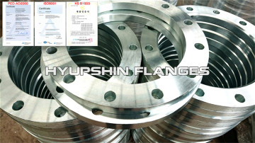 PN10 DIN2576 DIN2642 Plate Loose Flange