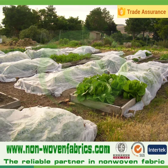 SS,SMMS,UV,TNT fabric/ 100% pp spunboned non-woven fabric free samples