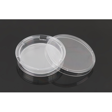 100mm Cell Culture Insert-dish