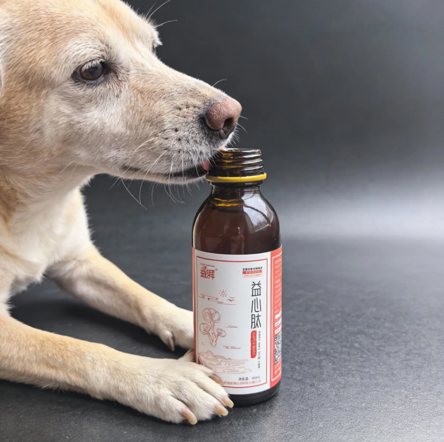 Cardiac System Supplements for Pets